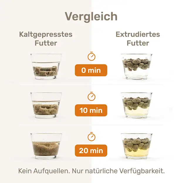 Grafik vergleicht kaltgepresstes und extrudiertes Hundefutter nach 0, 10 und 20 Minuten im Wasser.