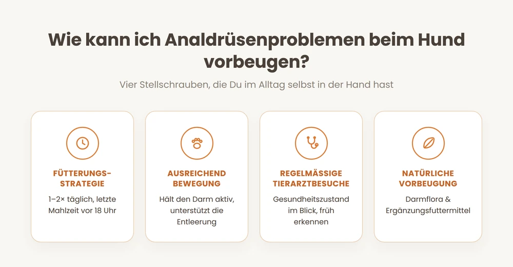 Vier Tipps zur Vorbeugung von Analdrüsenproblemen beim Hund: Fütterung, Bewegung, Tierarztbesuche, natürliche Unterstützung