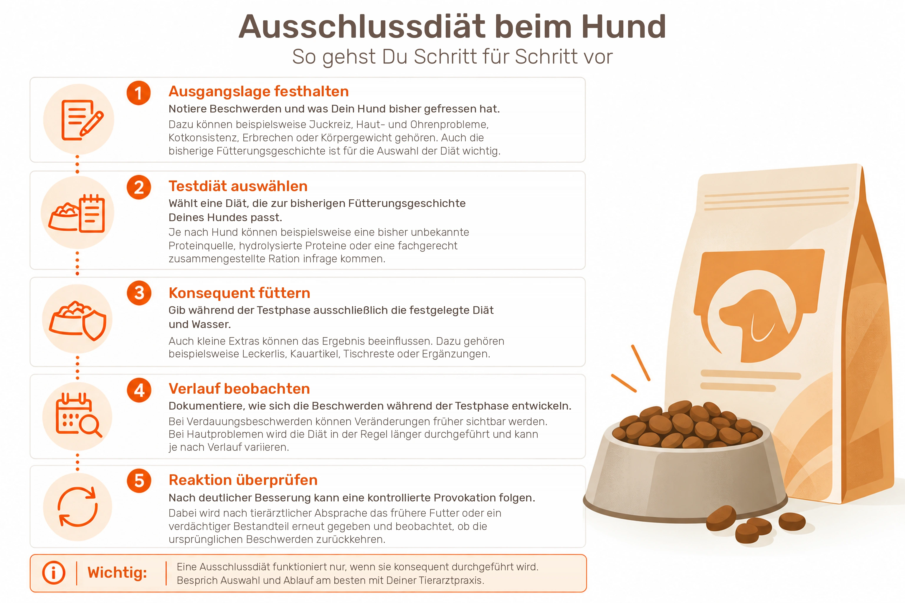 Infografik zur Ausschlussdiät beim Hund in fünf Schritten: Ausgangslage festhalten, Testdiät auswählen, konsequent füttern, Verlauf beobachten und Reaktion überprüfen.