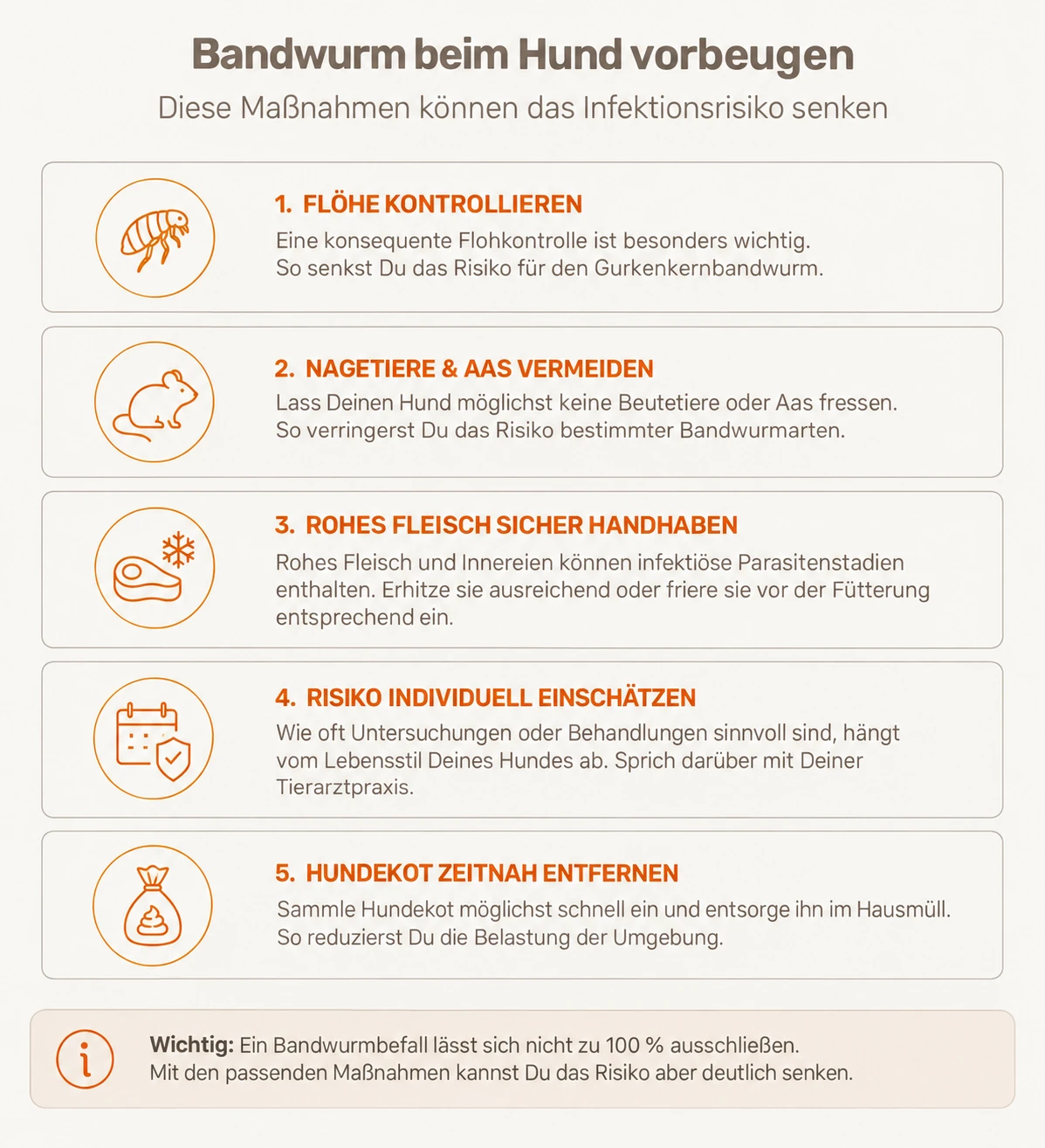 Infografik mit fünf Maßnahmen zur Vorbeugung von Bandwurm beim Hund: Flohkontrolle, Hygiene bei Rohfleisch, Jagd-/Aas-Prävention, individuelles Risiko und Kotentsorgung.