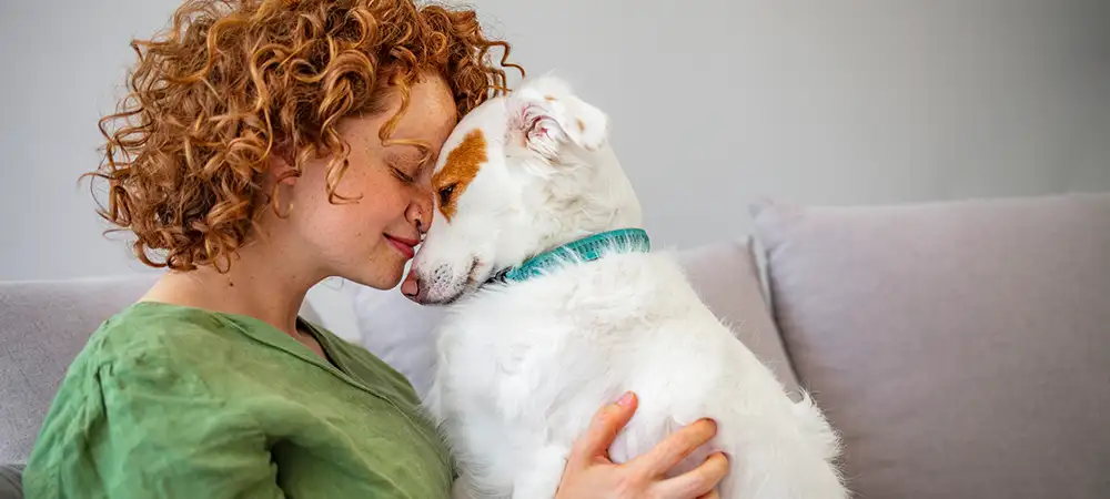 Frau hält ihren Hund auf dem Sofa im Arm und berührt ihn liebevoll mit der Stirn.