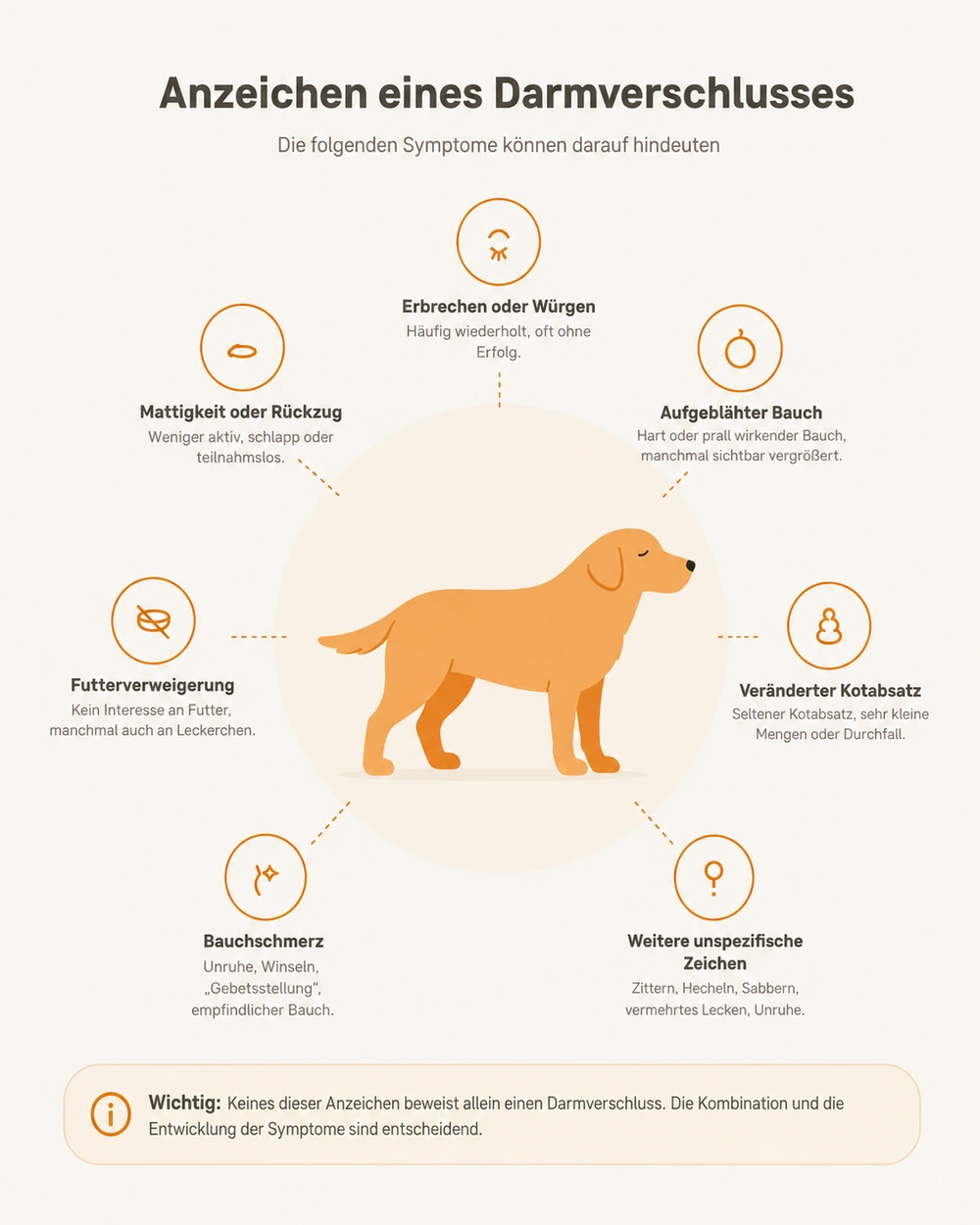Infografik mit sieben möglichen Anzeichen eines Darmverschlusses beim Hund, rund um eine Hunde-Illustration angeordnet