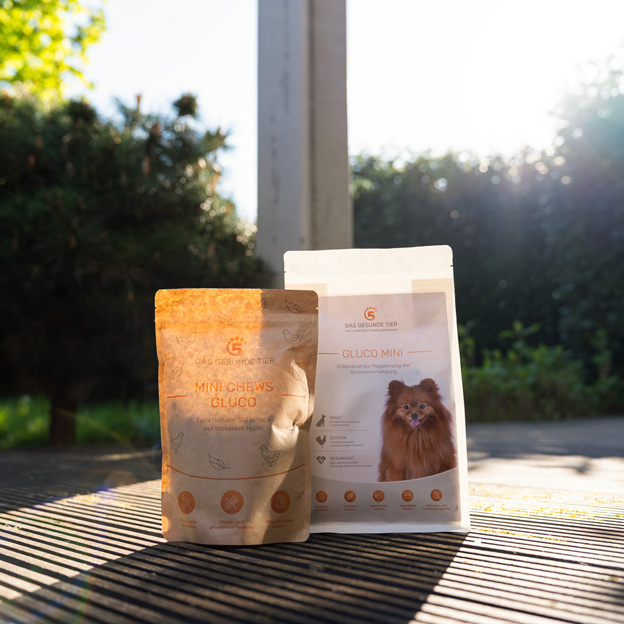 Zwei Beutel Hunde-Snacks von Das Gesunde Tier – Mini Chews Gluco und Gluco Mini – stehen auf einer sonnigen Holzterrasse im Garten, mit Hecke im Hintergrund und warmem Gegenlicht.