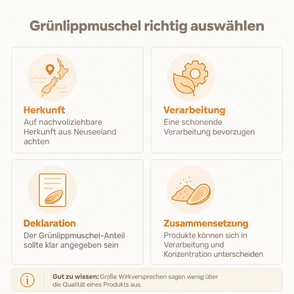 Infografik: Worauf beim Kauf von Grünlippmuschel für Hunde zu achten ist – Herkunft, Verarbeitung, Deklaration und Zusammensetzung.