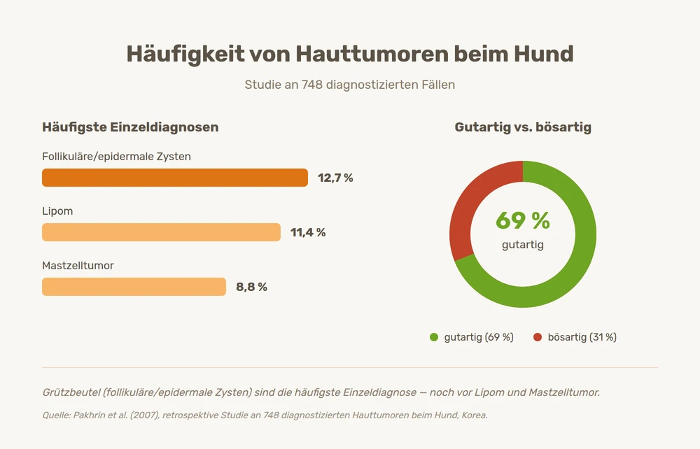 Statistik zur Häufigkeit von Hauttumoren beim Hund: follikuläre Zysten, Lipom und Mastzelltumor im Vergleich, 69 % davon gutartig