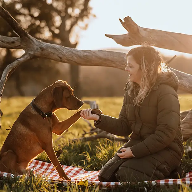Hund und Mensch in der Natur