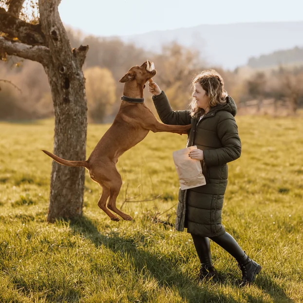 Hund und Besitzerin in der Natur – getreidefreies Hundefutter von Das Gesunde Tier.