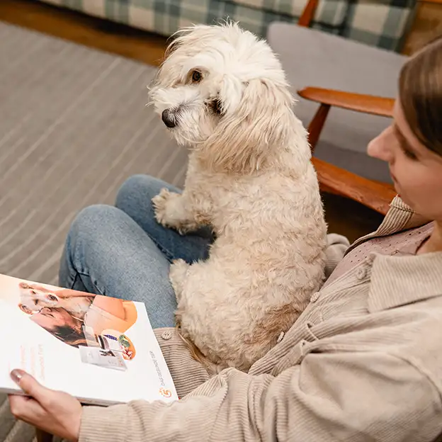 Frau sitzt mit einem kleinen weißen Hund auf dem Schoß und liest in einem Produktkatalog für Tierfutter.