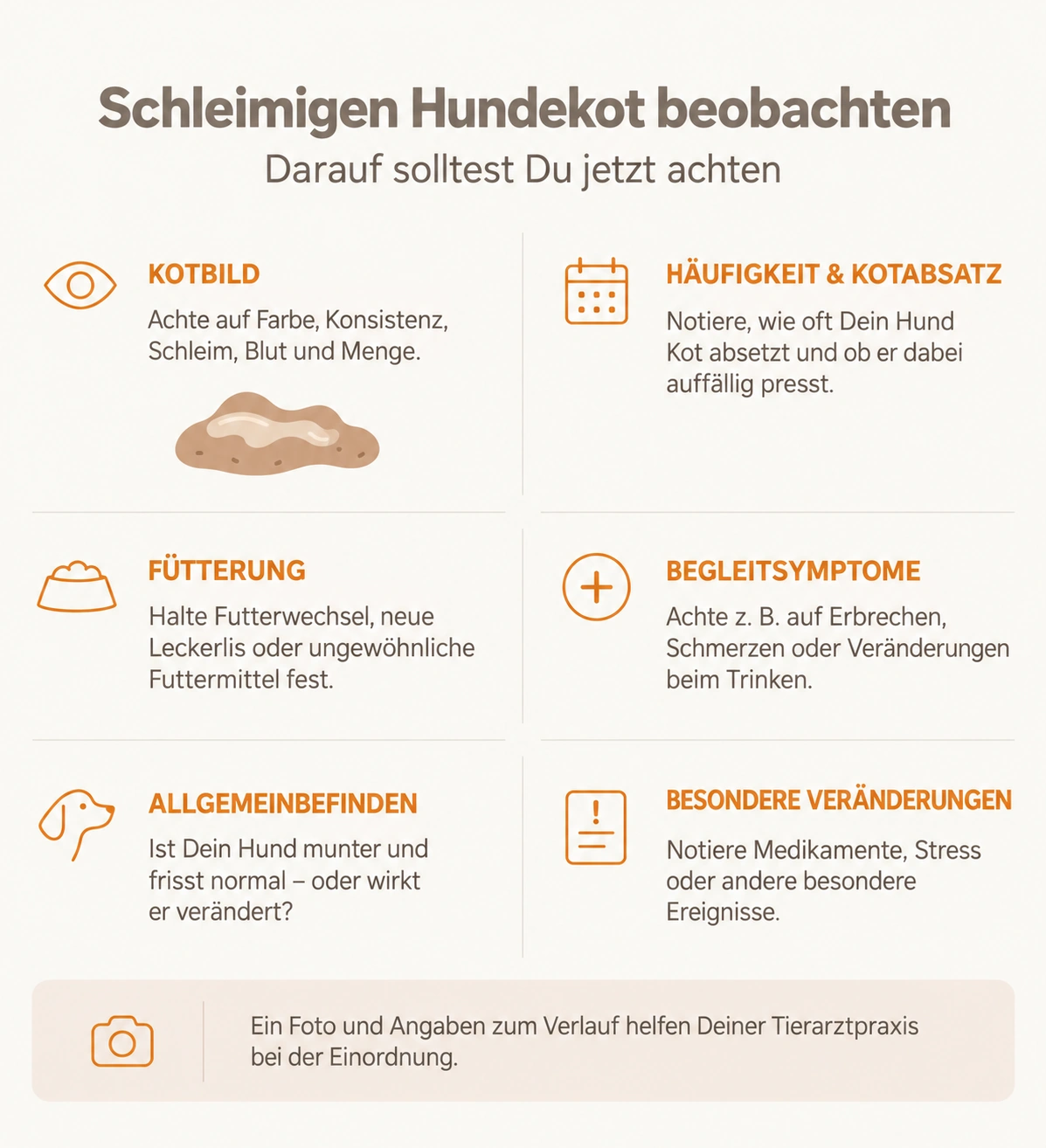 Checkliste zum Beobachten von schleimigem Hundekot: Kotbild, Häufigkeit, Fütterung, Begleitsymptome, Allgemeinbefinden