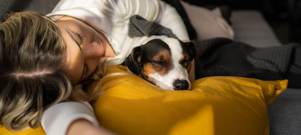 Frau und kleiner Hund schlafen eng aneinandergekuschelt auf einem gelben Kissen – Ruhe und Nähe im Alltag mit IBD beim Hund