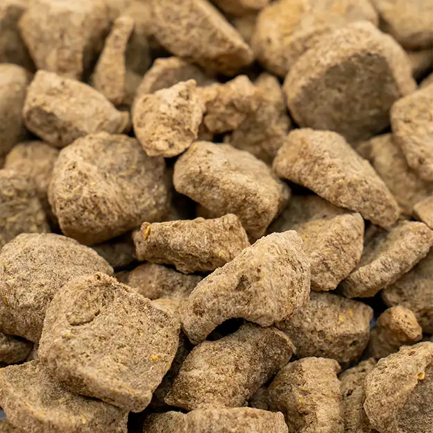 Nahaufnahme der größeren braunen Futterstücke des Diätfutters INTESTO für Hunde.