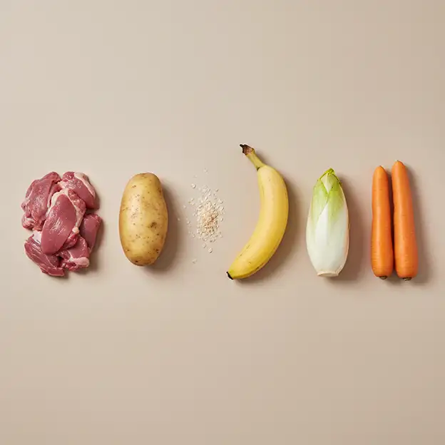 Zutaten des INTESTO Hundefutters: Fleisch, Kartoffel, Haferflocken, Banane, Chicorée und Karotten.