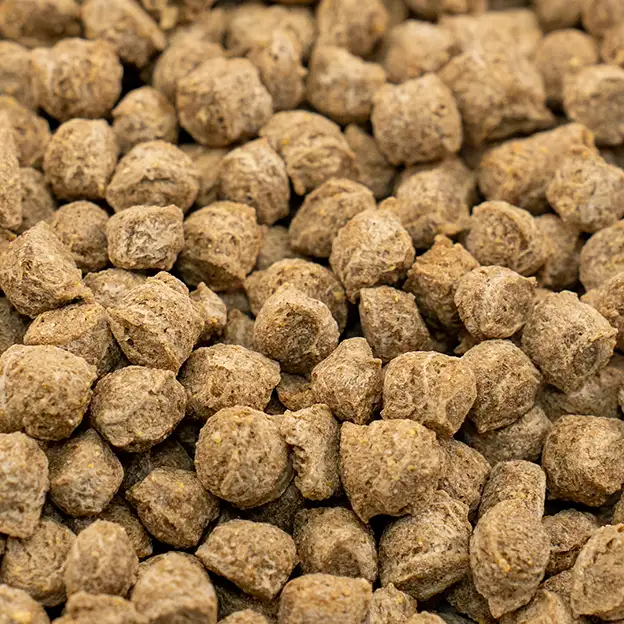 Nahaufnahme der kleinen braunen Futterstücke des Diätfutters INTESTO MINI für Hunde