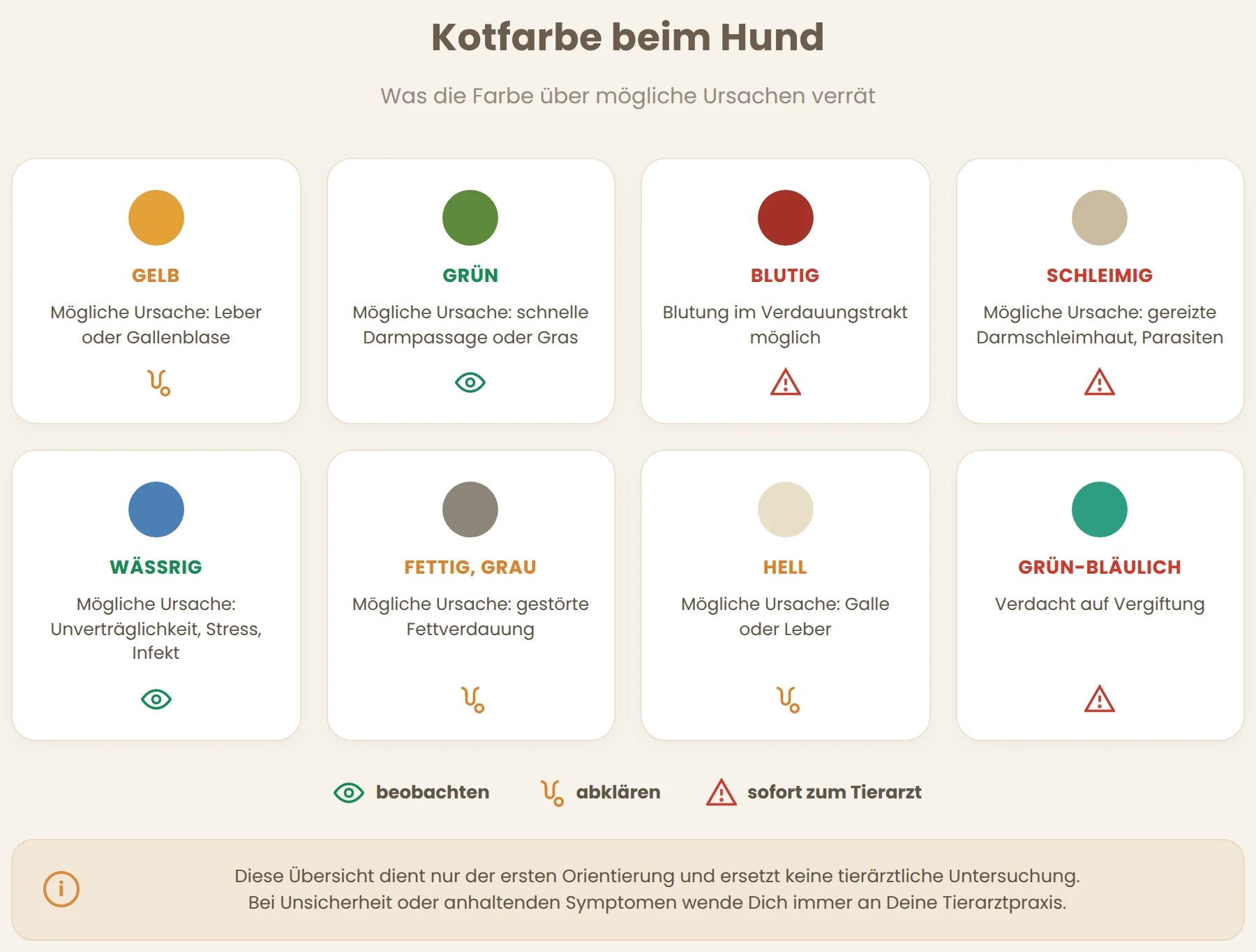 Infografik zu Kotfarben beim Hund: acht Farben und Konsistenzen mit Einordnung, ob beobachten, abklären oder sofort zum Tierarzt nötig ist.