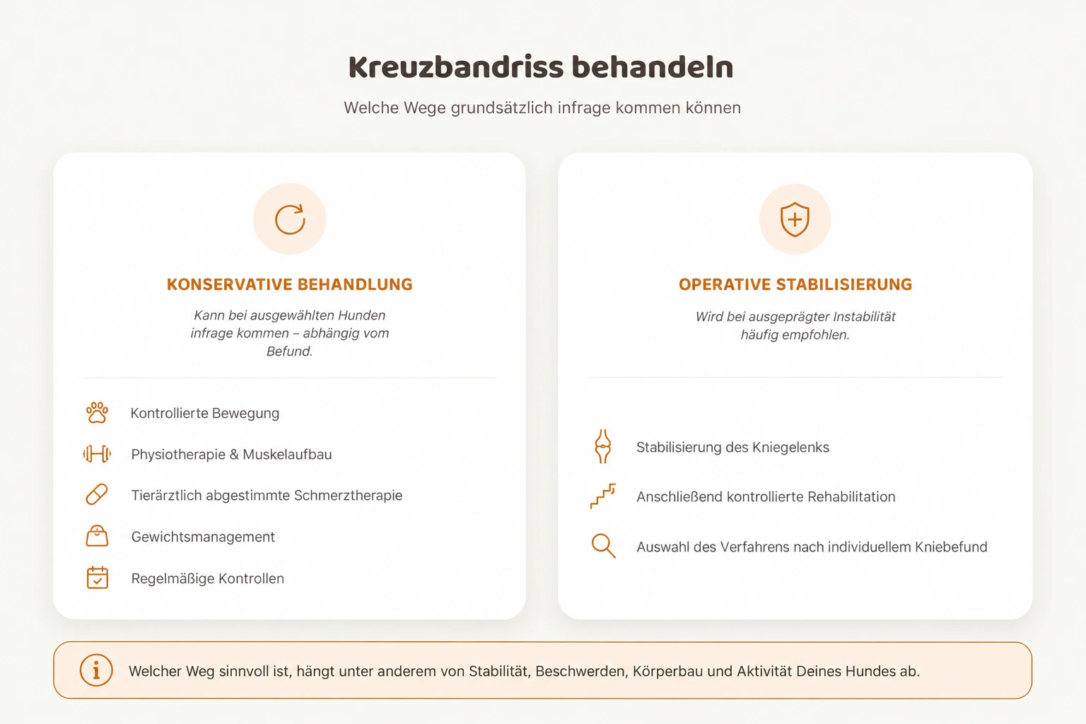 Grafik vergleicht konservative Behandlung und operative Stabilisierung bei Kreuzbandriss beim Hund mit jeweiligen Behandlungsschritten