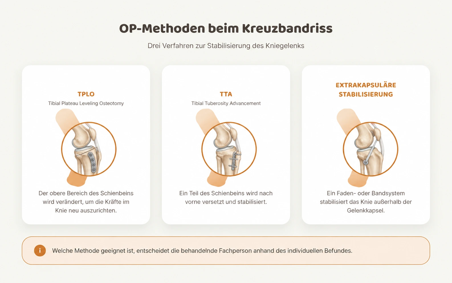 Grafik stellt die drei OP-Methoden TPLO, TTA und extrakapsuläre Stabilisierung bei Kreuzbandriss beim Hund im Vergleich dar