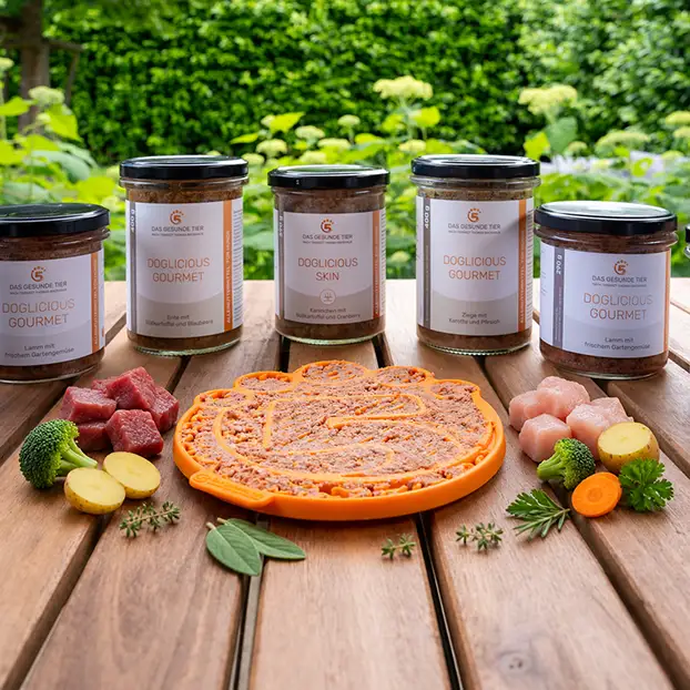 Kräutern als Zutaten der schonenden Rezeptur