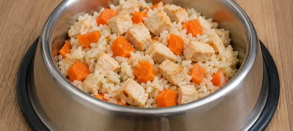 Napf mit klassischer Schonkost für Hunde aus gekochtem Reis, Hühnchenwürfeln und Karottenstückchen, appetitlich angerichtet.