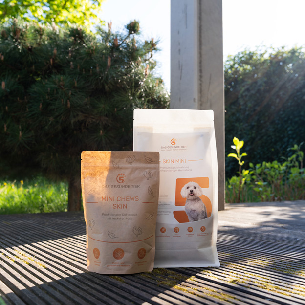 Zwei Beutel Hunde-Snacks von Das Gesunde Tier – Mini Chews Skin und Skin Mini – stehen auf einer sonnigen Holzterrasse im Garten, mit Bäumen und Hecke im Hintergrund sowie warmem Gegenlicht.