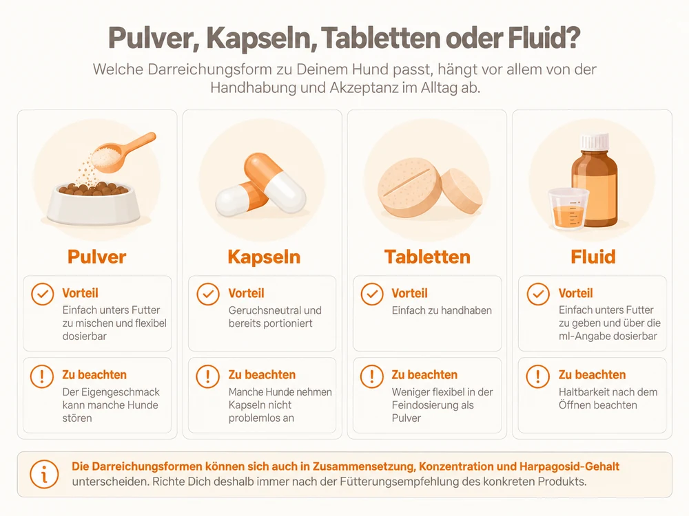 Infografik: Vergleich von Pulver, Kapseln, Tabletten und Fluid mit Teufelskralle für Hunde – Vorteile und Punkte zum Beachten je Darreichungsform.