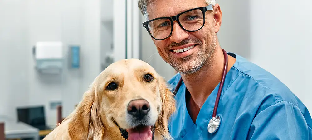 Tierarzt sitzt mit einem Labrador in der Praxis und schaut freundlich in die Kamera