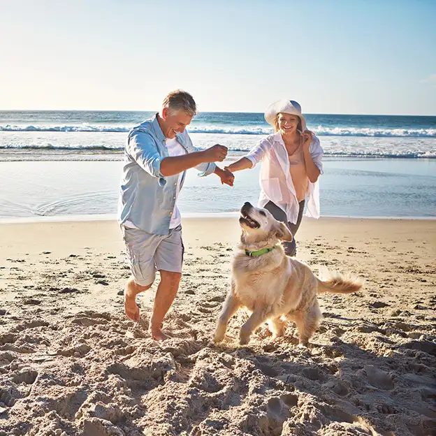 Paar spielt mit einem Golden Retriever an einem sonnigen Strand während des Sommerurlaubs.