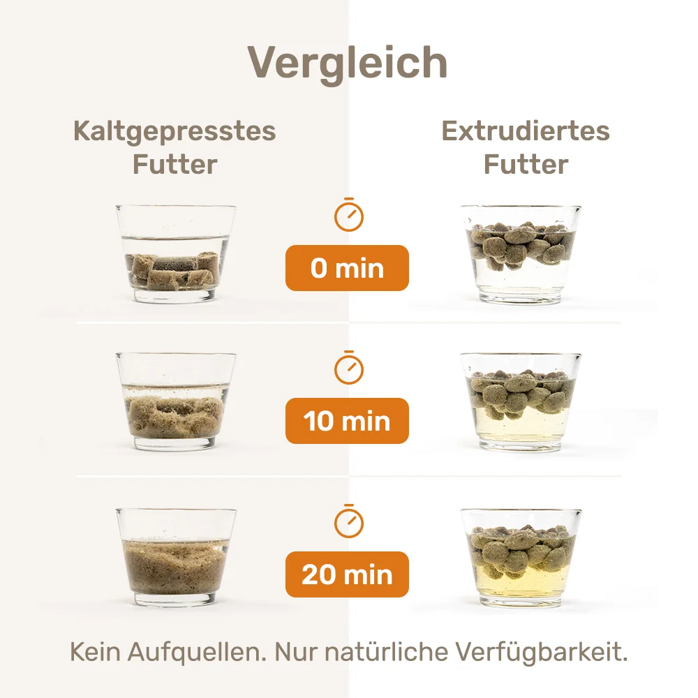 Wassertest im Glas: Kaltgepresstes Hundefutter zerfällt nach 20 Minuten sandartig, extrudierte Kroketten behalten ihre Form.