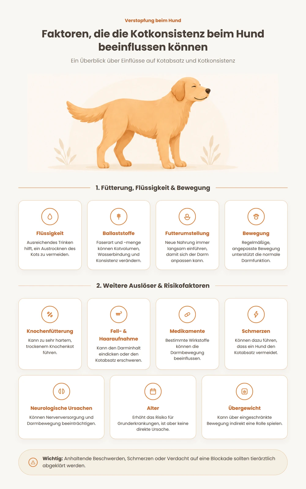 Infografik zu Einflussfaktoren auf die Kotkonsistenz beim Hund: Fütterung, Flüssigkeit, Bewegung sowie weitere Risikofaktoren wie Alter oder Übergewicht.