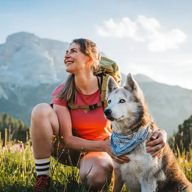 Wanderin macht mit ihrem Husky eine Pause auf einer Bergwiese an einem sonnigen Sommertag.