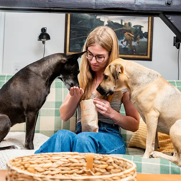 Tierhalterin sitzt mit zwei Hunden auf dem Sofa und reicht ihnen CALMIES aus der Packung.
