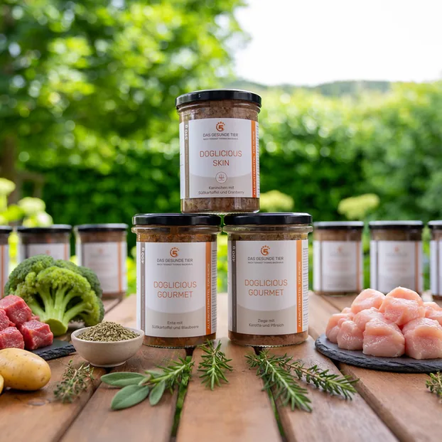 Premium Nassfutter für Hunde im Glas, umgeben von Fleisch, Gemüse und Kräutern.
