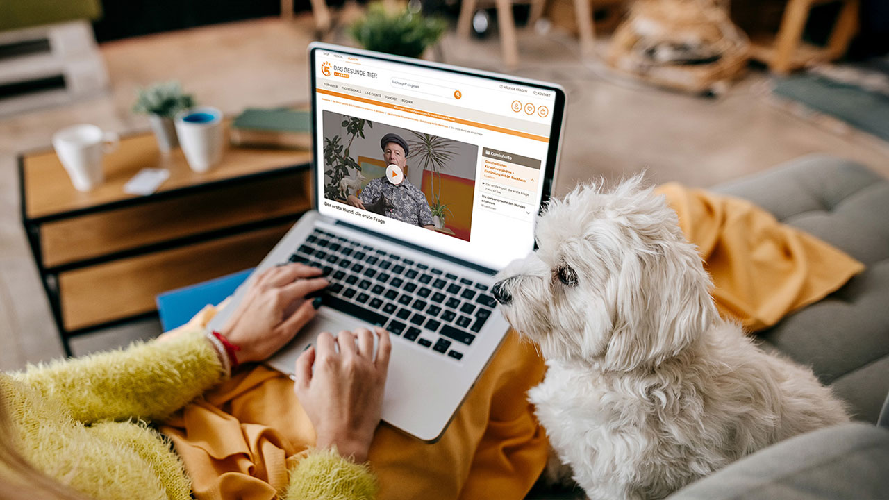 Eine Frau sitzt mit ihrem Hund vor einem Laptop und schaut einen Videokurs von Das Gesunde Tier.