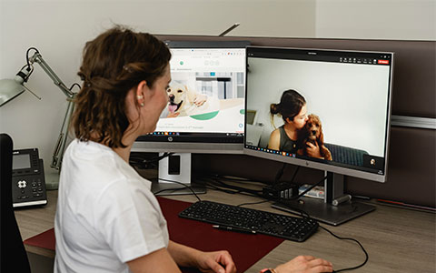 Tierärztin berät online zu Produkten für Parasitenprophylaxe beim Hund.