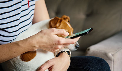 Person sitzt auf einem Sofa und hält ein Smartphone in der Hand, während ein kleiner braun-weißer Hund auf ihrem Schoß liegt.