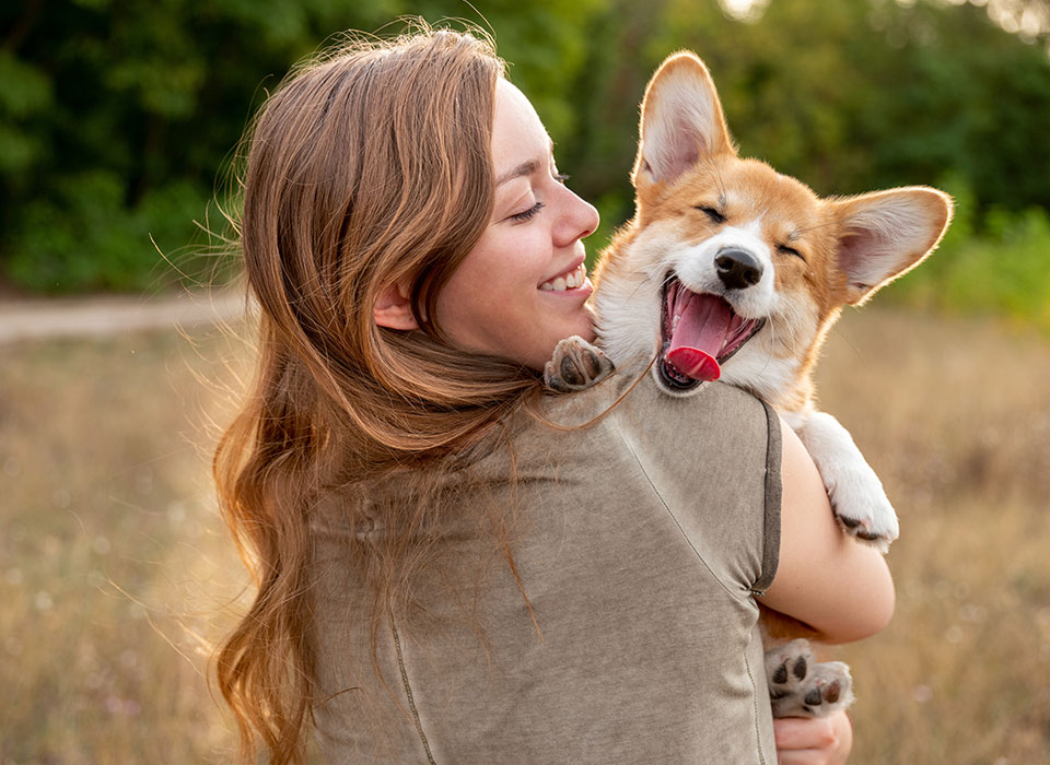Junge Frau hält Corgi im Arm, der entspannt gähnt und die Zunge herausstreckt, draußen in natürlicher Umgebung.