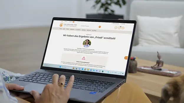 Laptop mit geöffneter Website von Das Gesunde Tier – Kostenloser Impf- und Vorsorgeberater wird im Headerbild angezeigt.