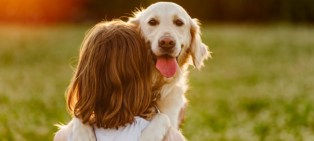 Hund umarmt Frau mit braunen Haaren