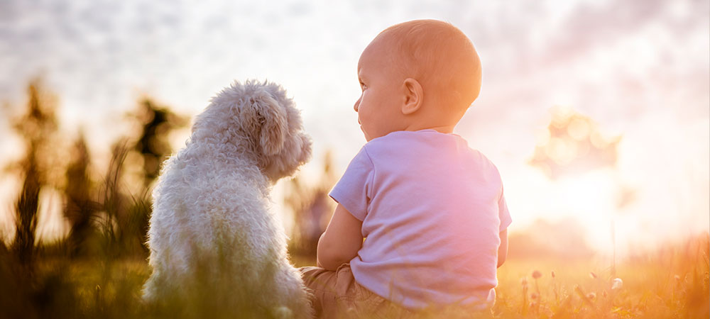 Hund und Baby sitzen nebeneinander