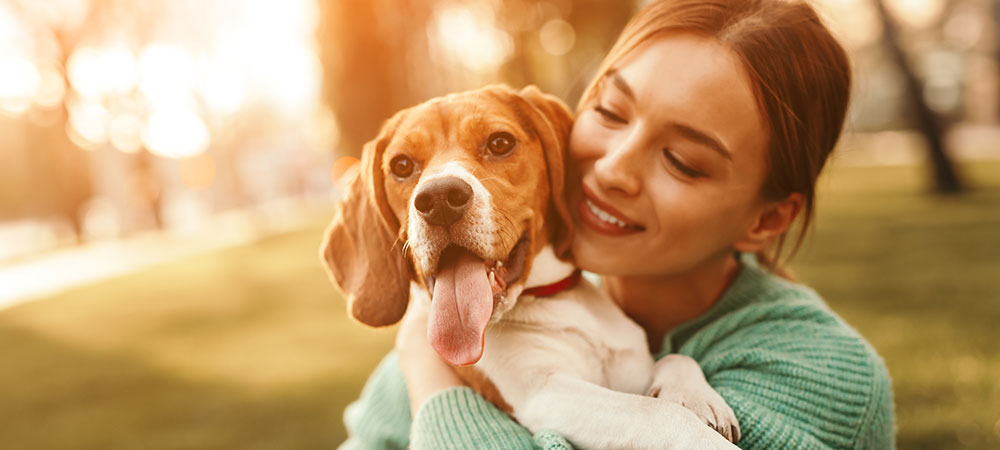 ´kleiner Hund mit geschlossenen Augen beißt auf eine Kaustange