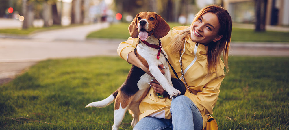 Eine Frau in gelber Regenjacke kniet auf einer grünen Wiese und hält einen Beagle im Arm.