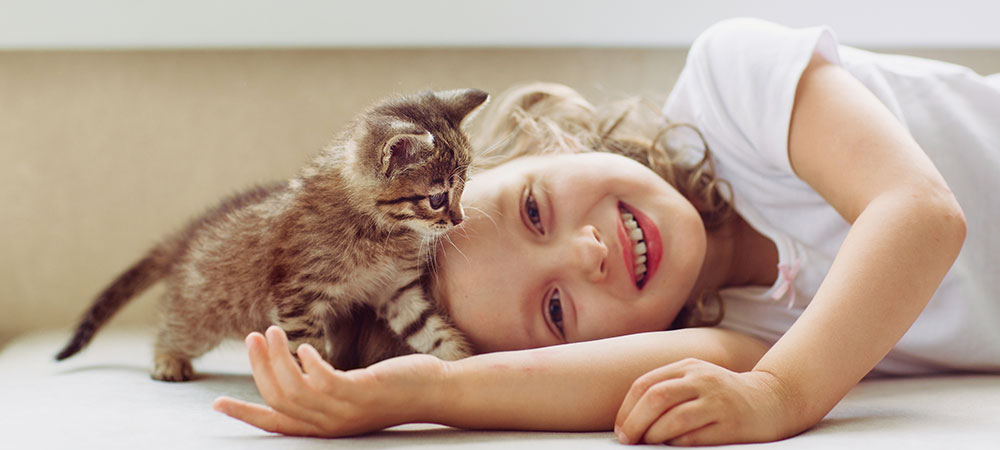 Kitten spielt mit jungem Mädchen