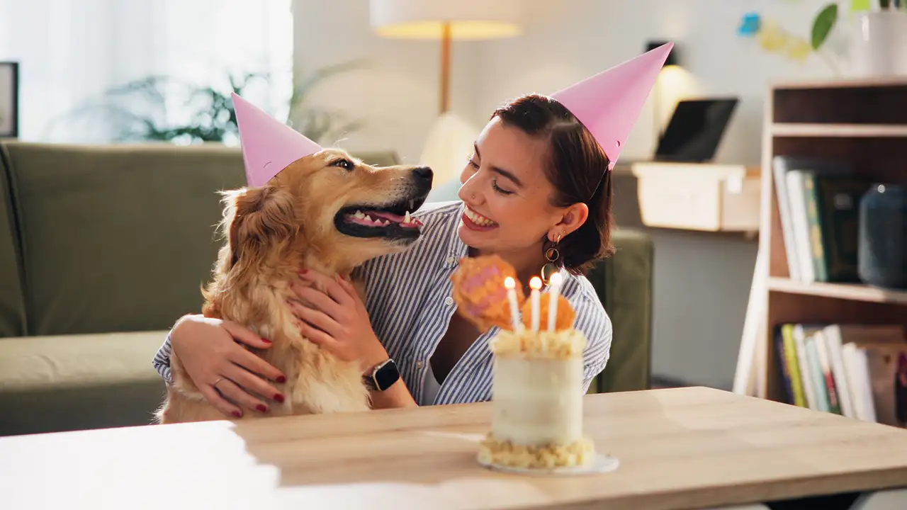 Frau und Hund mit Partyhüten vor einem kleinen Geburtstagskuchen mit Kerzen.