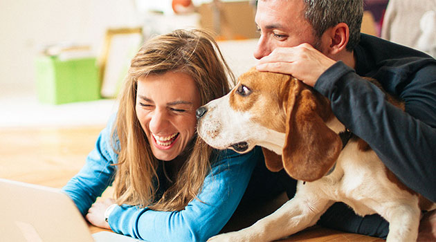Eine lachende Frau in einem blauen Pullover liegt auf dem Boden neben einem Mann und einem Beagle. Sie schauen gemeinsam auf einen Laptop-Bildschirm.