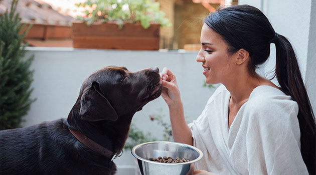 Eine dunkelhaarige Frau füttert ihren schwarzen Hund.