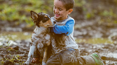 Ein Junge spielt mit einem Hund im Matsch.