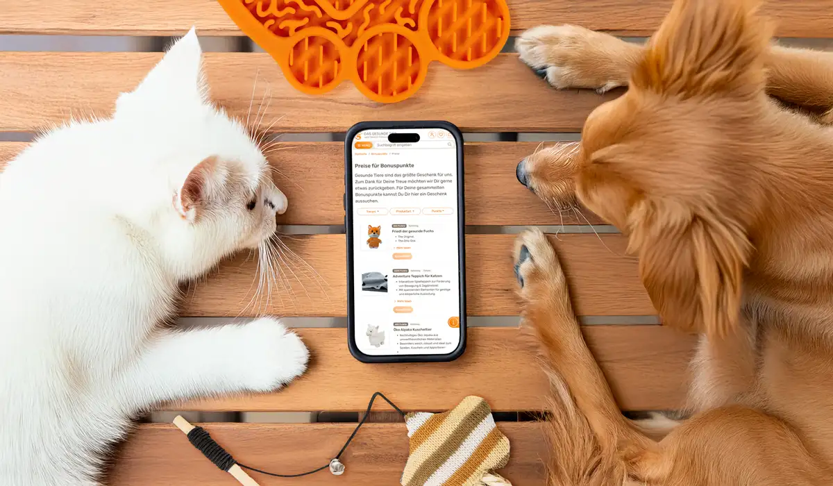 Katze und Hund liegen auf Holz am Boden und schauen auf Smartphone.