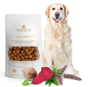 Produktabbildung von kaltgepresstes hypoallergenes Hundefutter ALLERGO. Davor liegen die Zutaten.