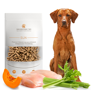 Produktabbildung von kaltgepresstes Hundefutter SUN. Davor liegen die Zutaten.