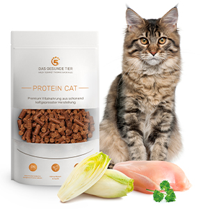 Produktabbildung von kaltgepresstes Katzenfutter PROTEIN CAT. Davor liegen die Zutaten.