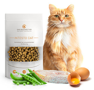 Produktabbildung von Getreidefreies Schonkost Katzenfutter INTESTO CAT. Davor liegen die Zutaten.